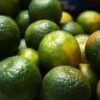Grafted Tangerine