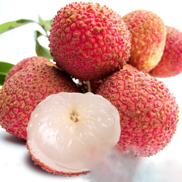 lychee seedlings