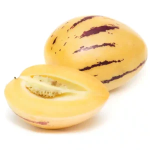 Pepino melon seedlings